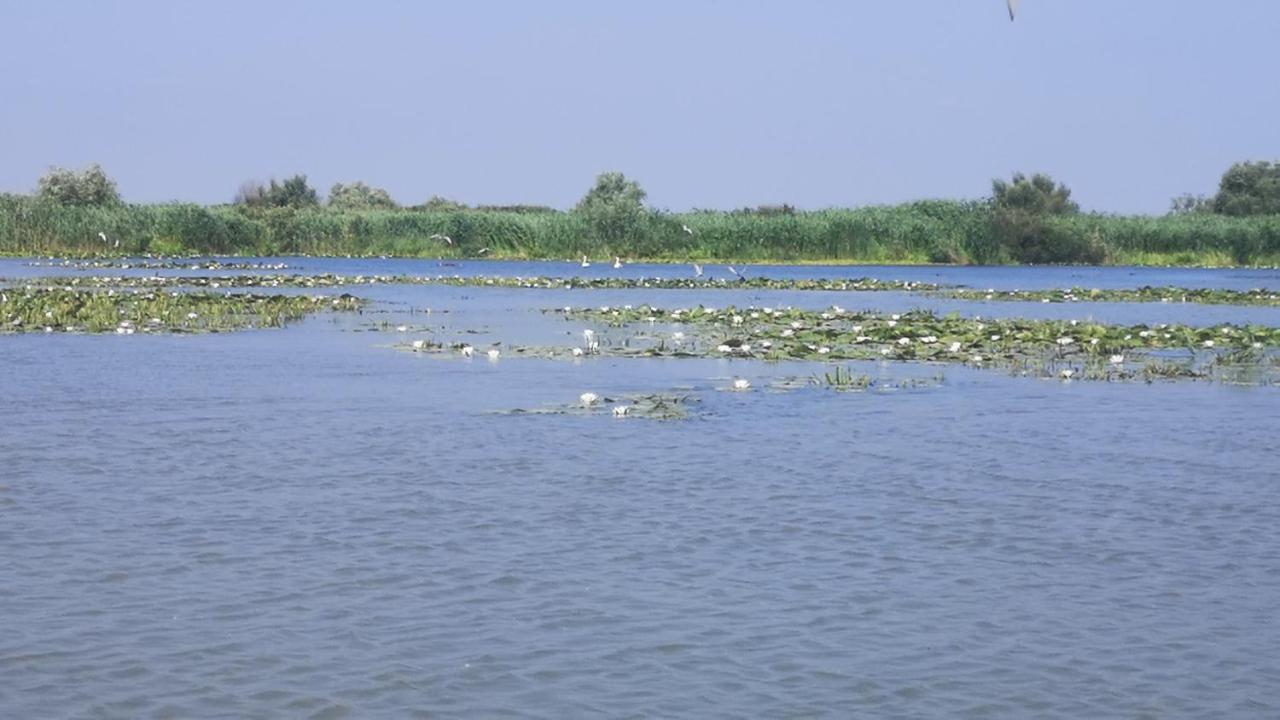Gorgova Delta Village Exterior foto